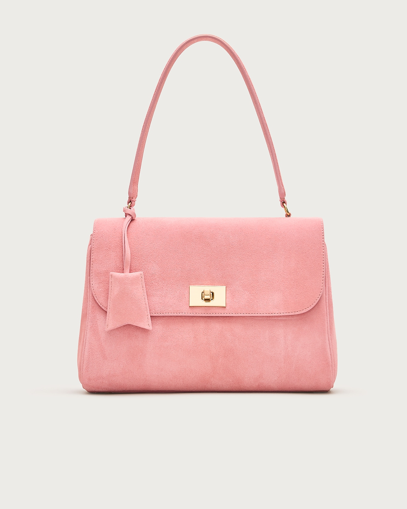 Suede Bags for Spring cover photo collage