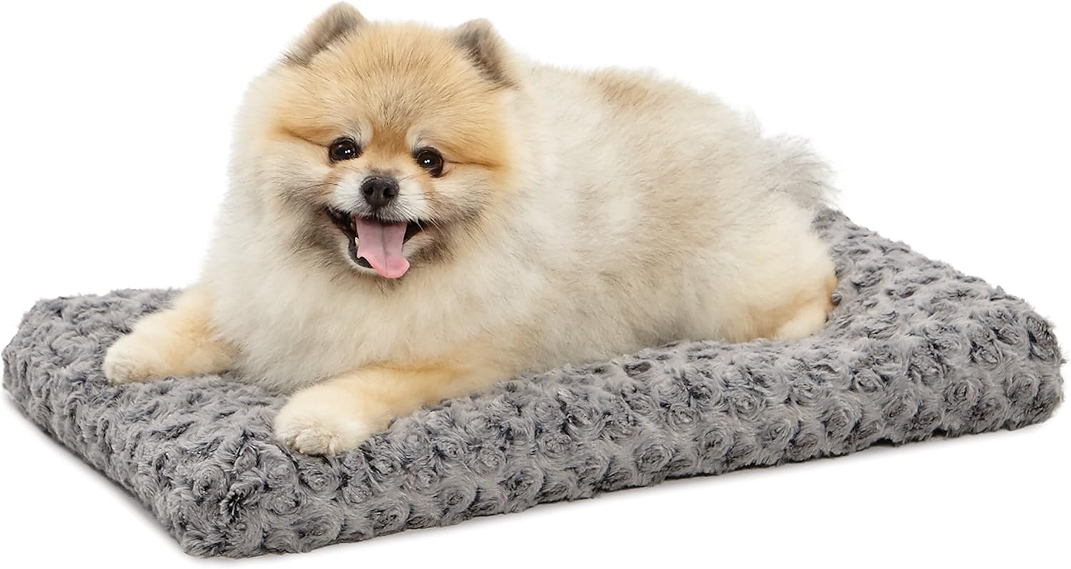 Pet Necessities for a Yorkie cover photo collage