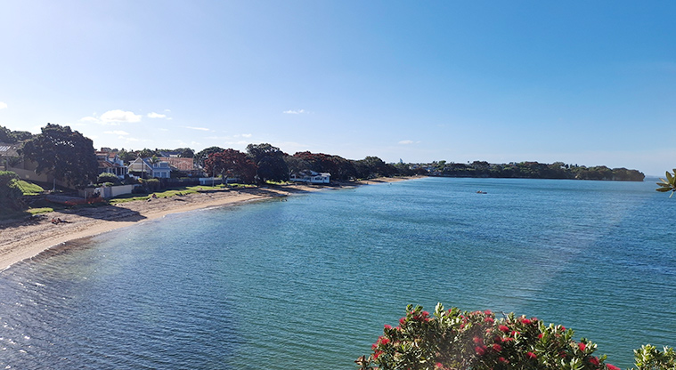 Devonport, Auckland cover photo collage