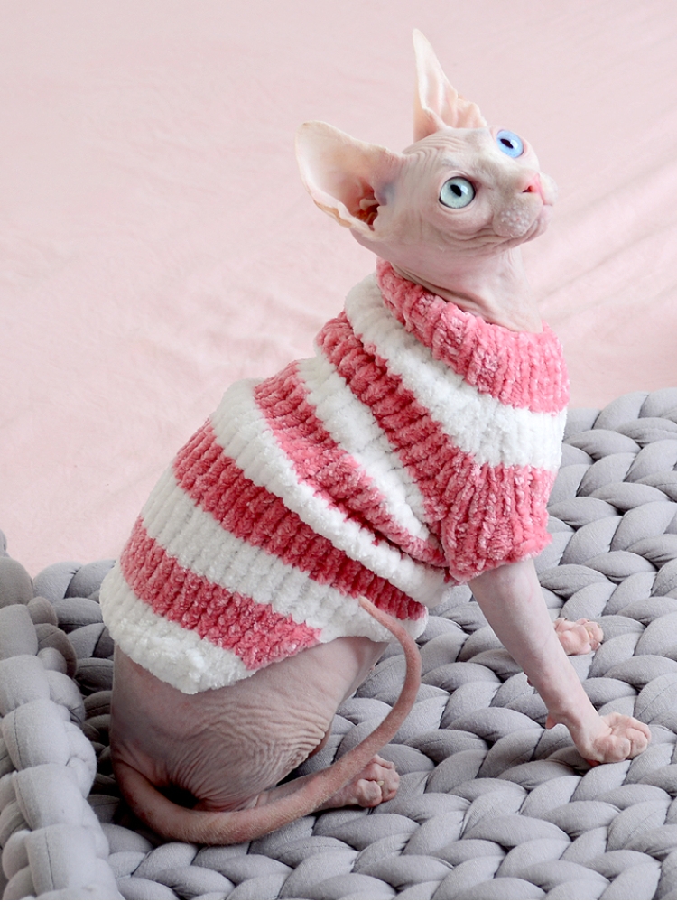 Sphynx Cat Winter Clothes Essentials: Warm Fleece & Insulated Suits cover photo collage