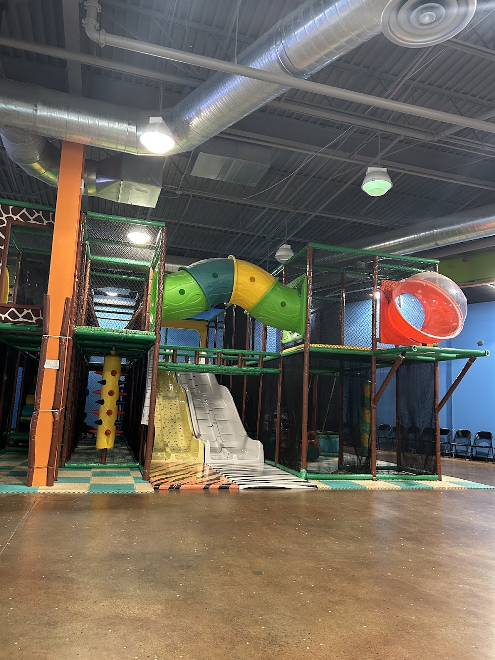 Favorite Kid Friendly ( low cost)  places to go in Tampa Florida cover photo collage