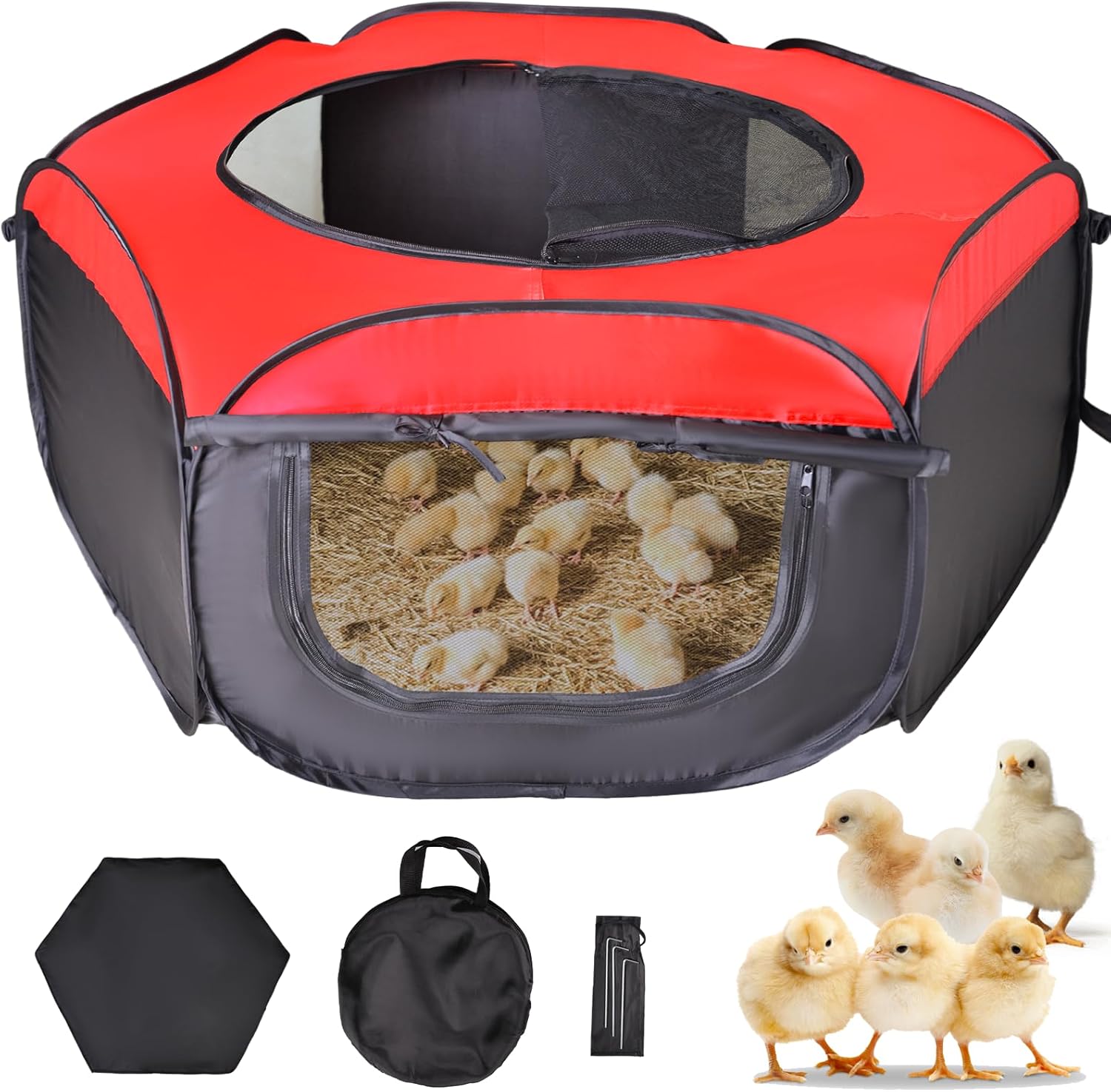 Everything you need to start up Backyard Chickens cover photo collage