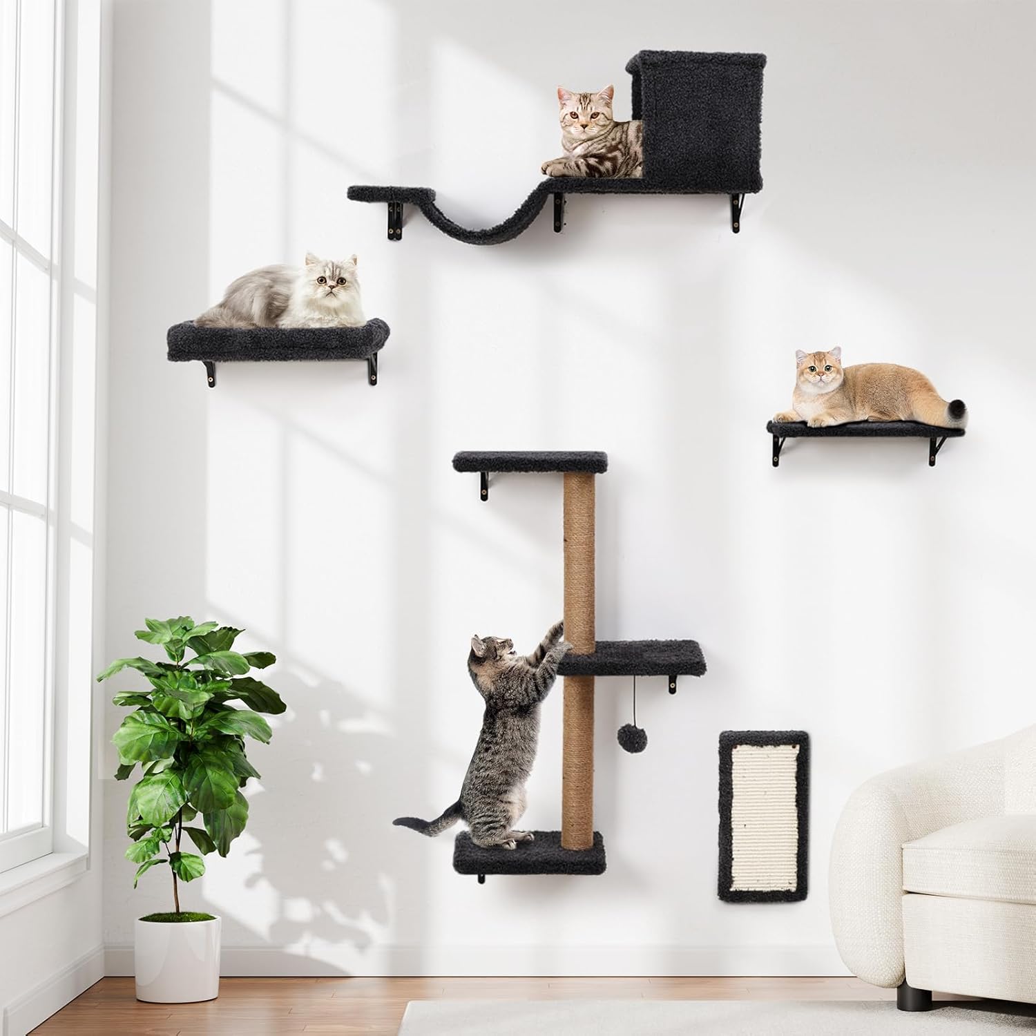 Proud cat mom! 🐱 cover photo collage