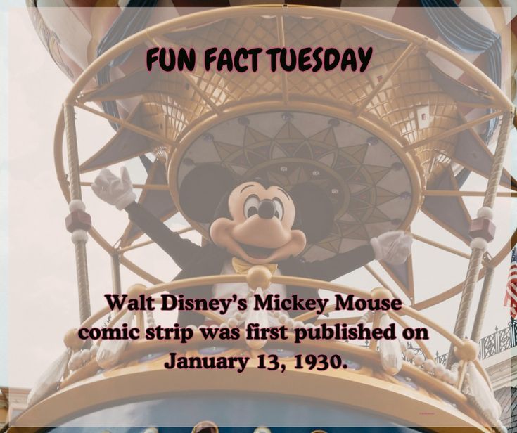 Fun Fact Tuesday cover photo collage
