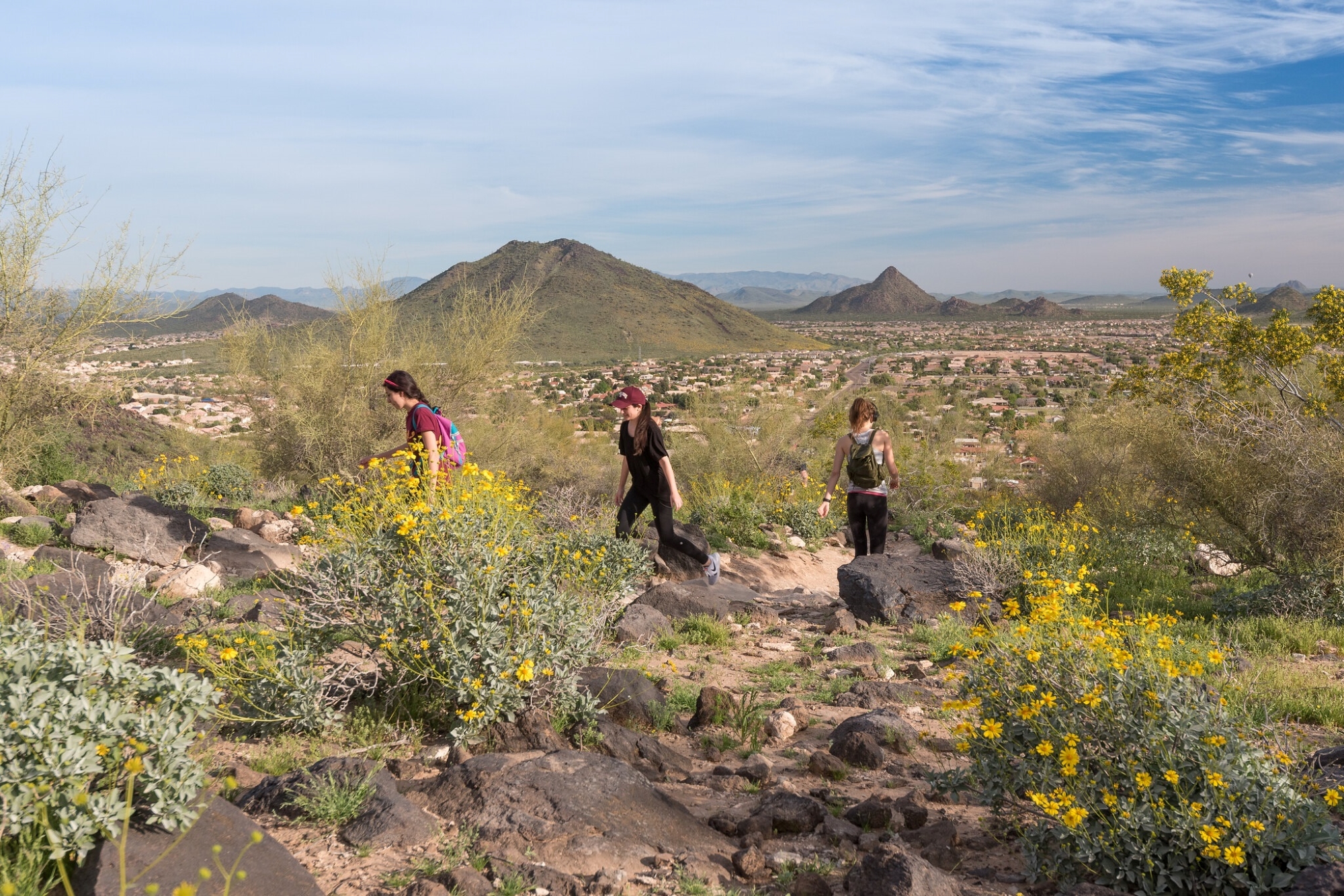 My Go-To List of Places to Go in Phoenix Area cover photo collage
