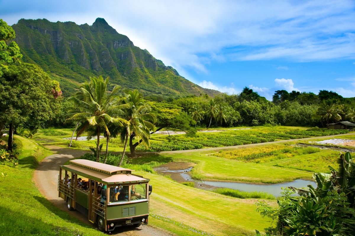 OAHU MUST DO'S cover photo collage