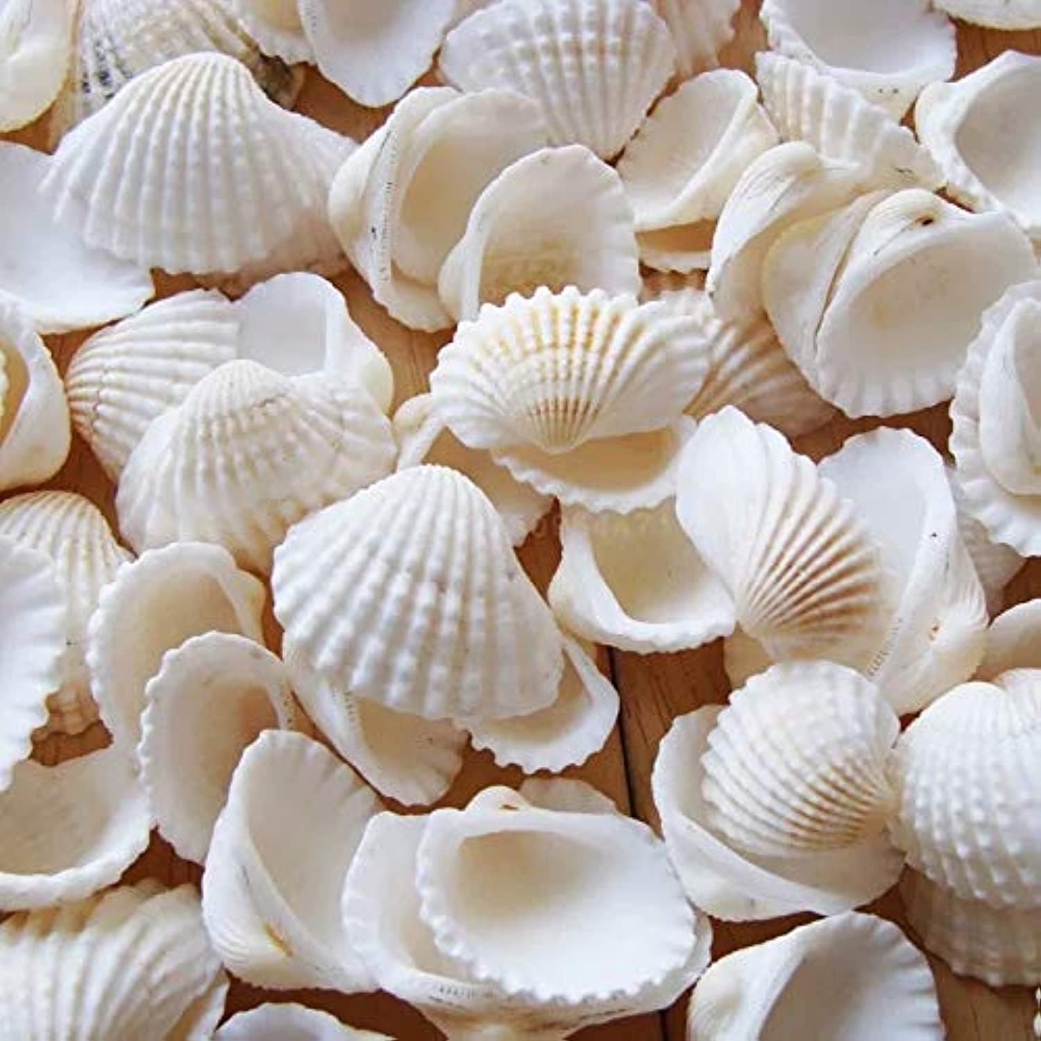 How to make a simple seashell magent: everything you need cover photo collage