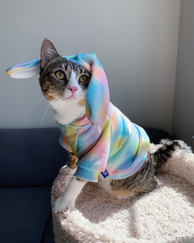 Easter Must Have for Dogs and Cats approved by pets cover photo collage
