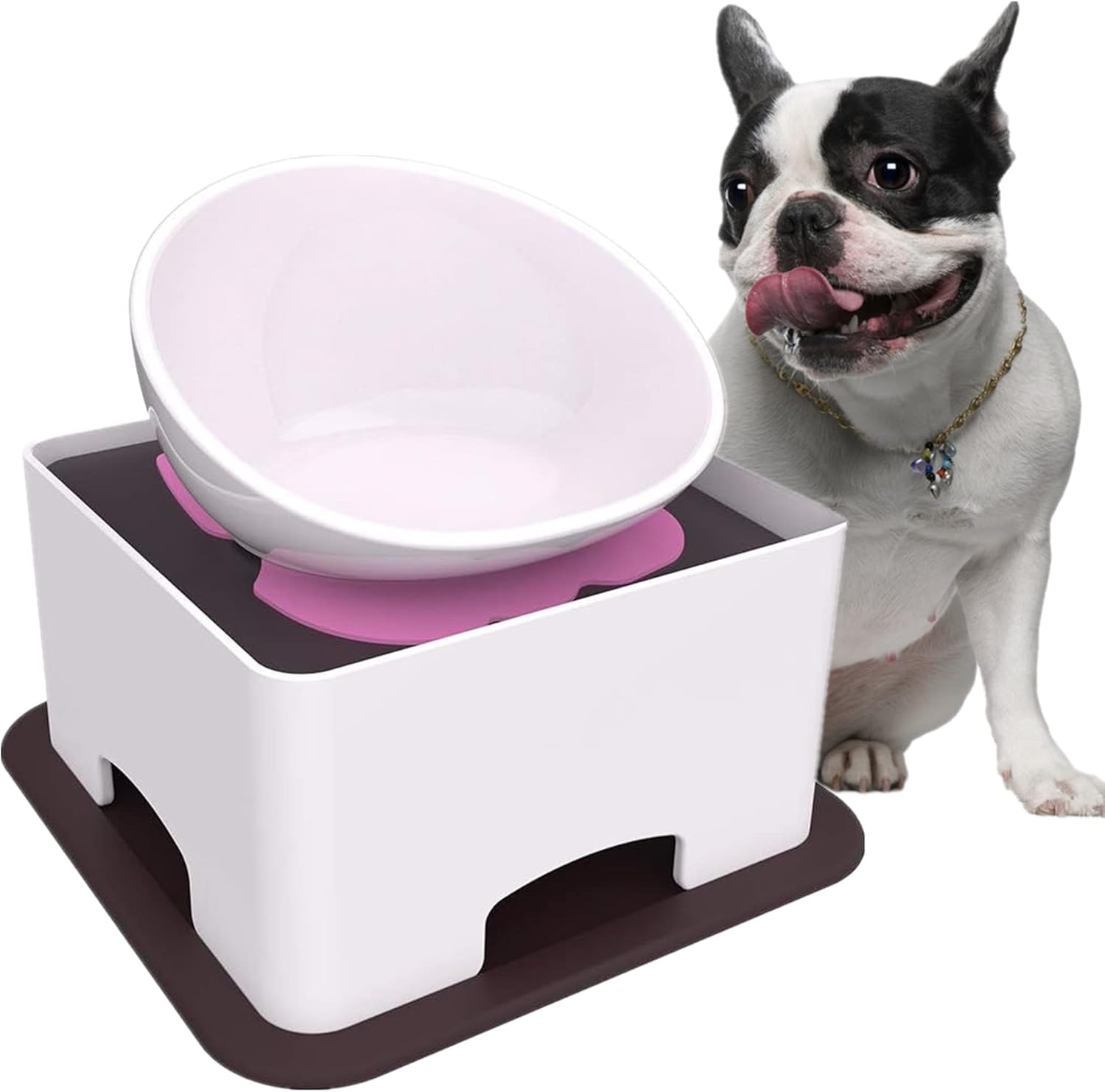 Frenchie Folds, Ears, Paws and Food cover photo collage