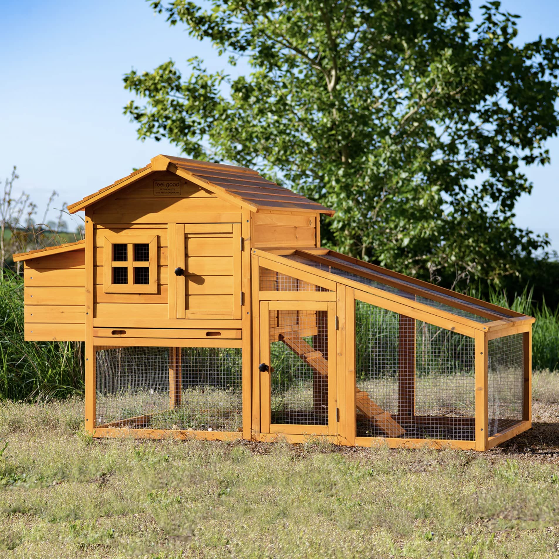Chicken Keeping Essentials for Beginners UK (Coop Setup, Feeding, Cleaning & Daily Care Must-Haves) cover photo collage