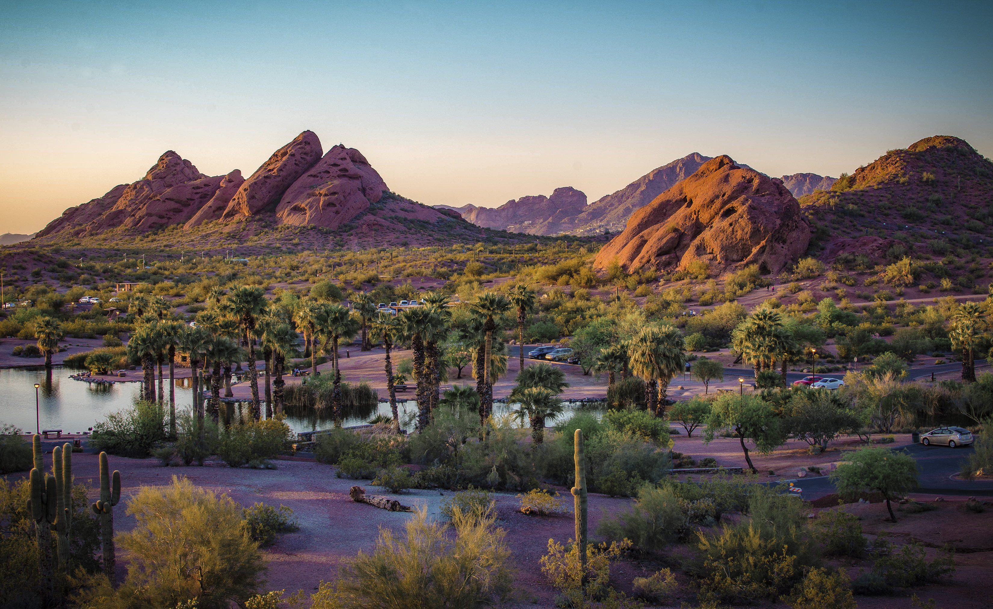 Ultimate Guide: Family-Friendly Activities in Arizona 🌵 cover photo collage