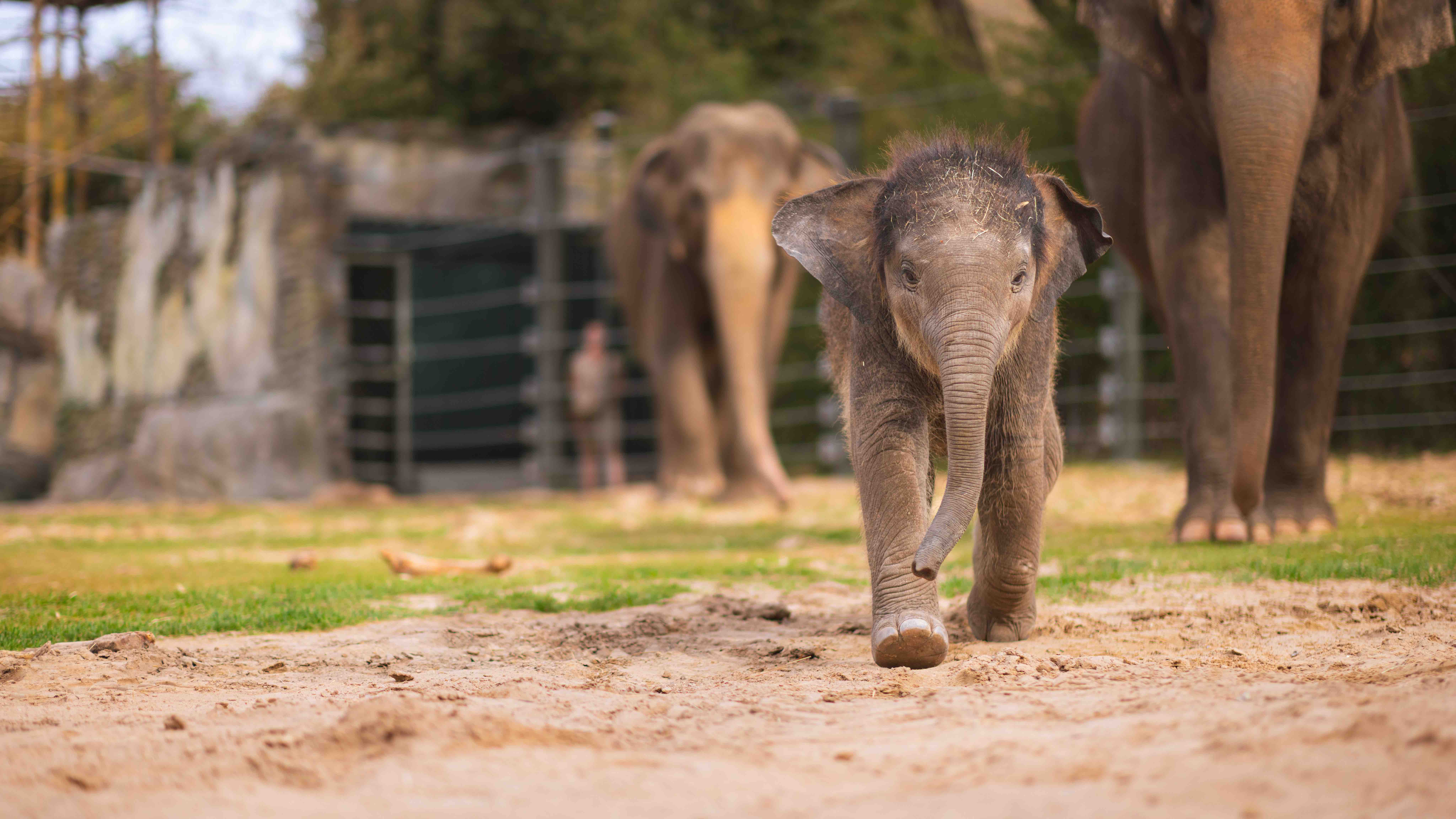 Places to visit in Texas! cover photo collage