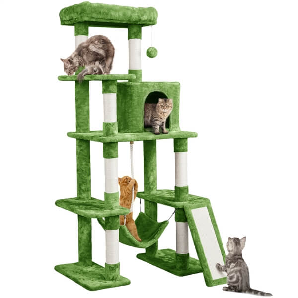 Feline Finds; Cat Parent Finds! cover photo collage