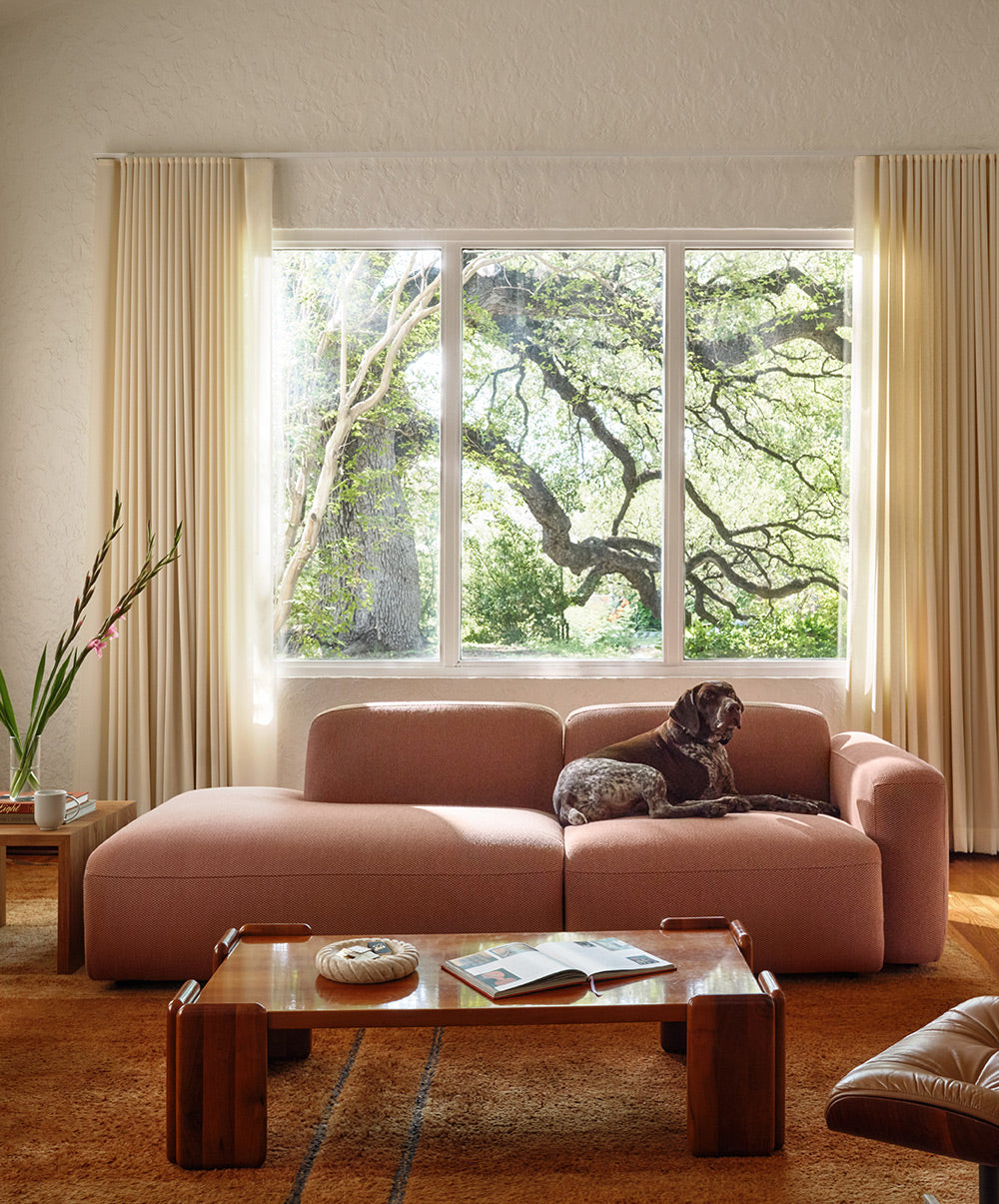 Furniture for a Modern and Cool Home cover photo collage