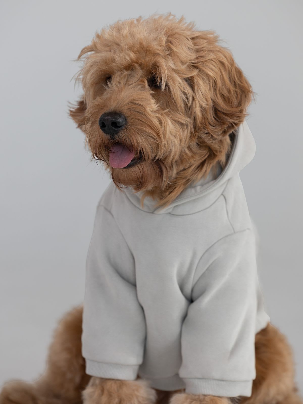 Pet Products cover photo collage