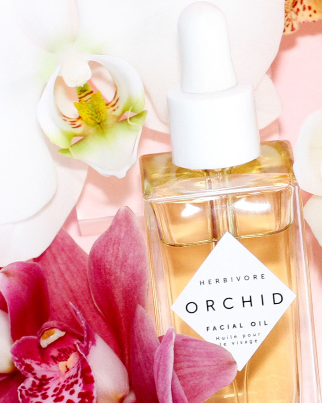 Clean Girl Beauty (Low-Tox, Sensitive Skin Safe) cover photo collage