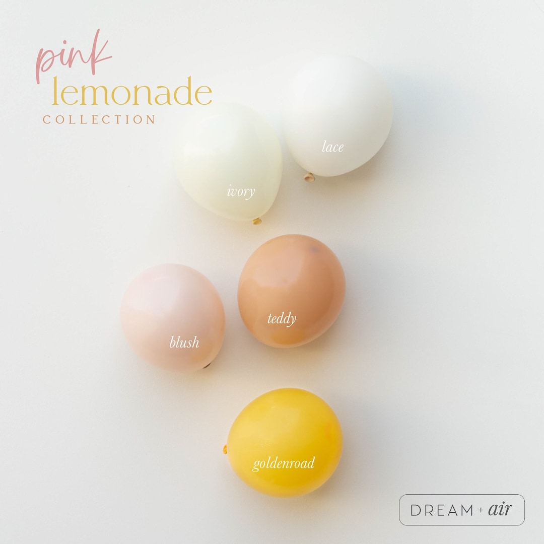 Pink Lemonade Balloon Garland Arch Kit