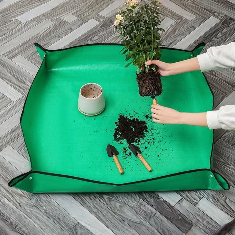 Amazon Top Finds cover photo collage