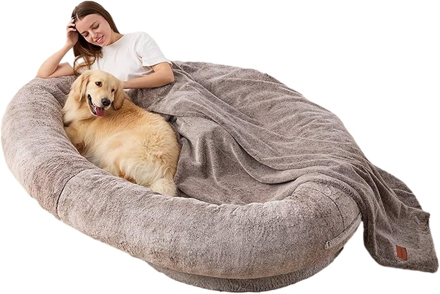 Pets are needy cover photo collage