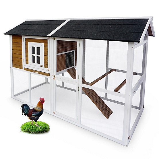 Small Space, Big Life: Must-Have Pets and Homestead Essentials cover photo collage