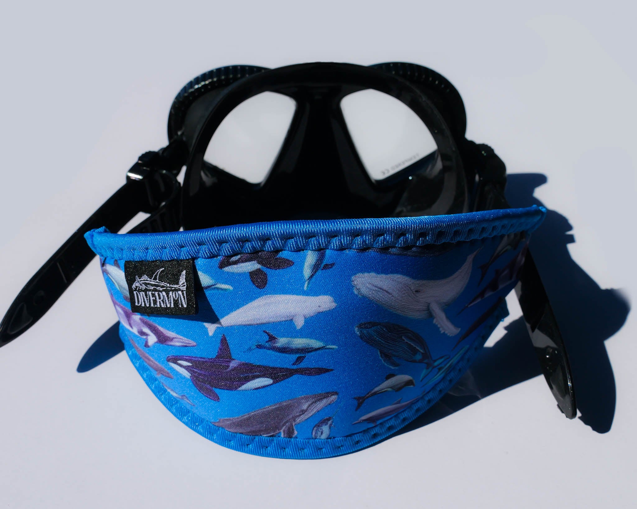 dive gear! 🤿 cover photo collage