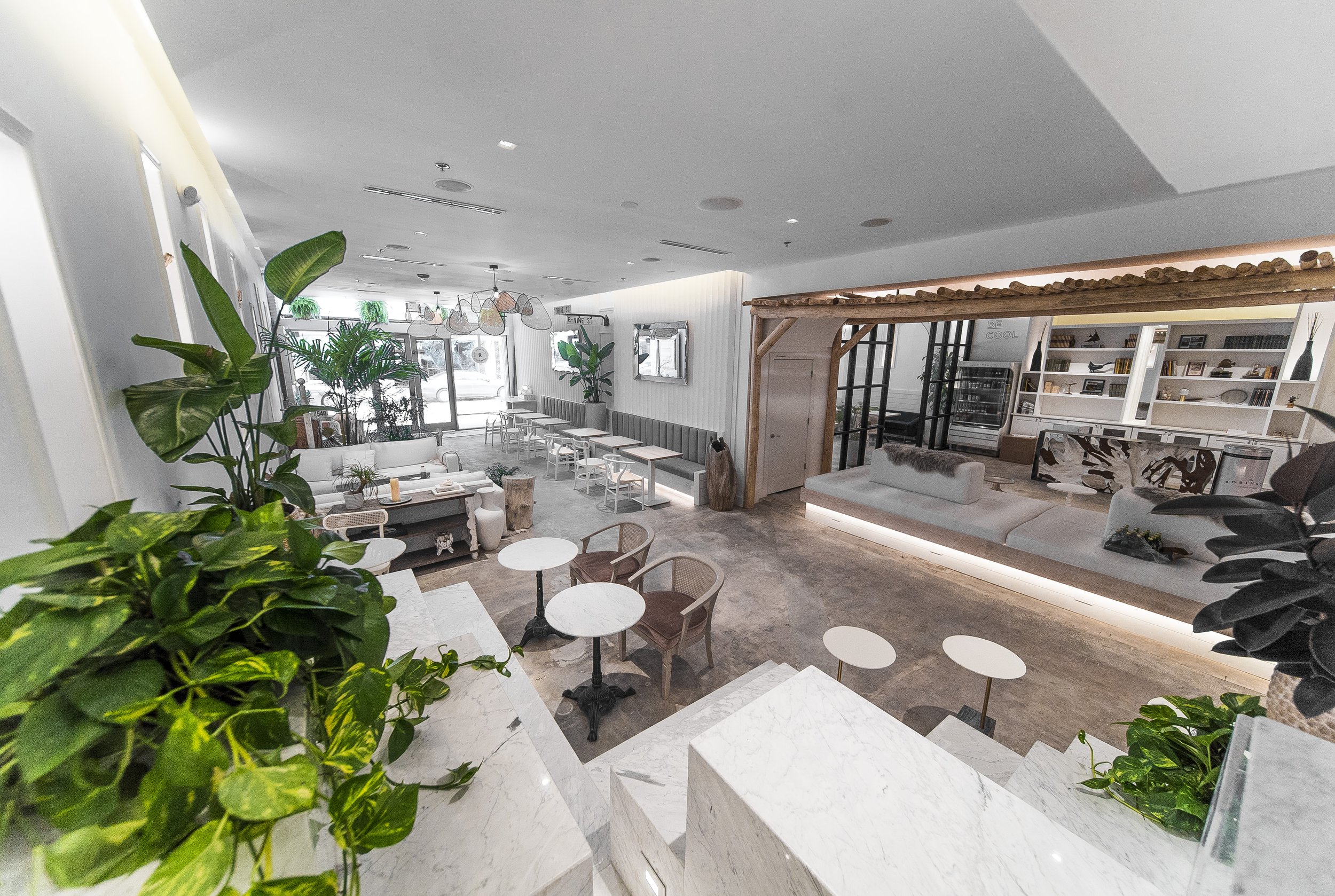 Café Hopping in Orlando ☕| Cute Cafés & Local Favorites cover photo collage