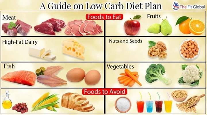How to start keto, low carb, paleo, carnivore - full guide cover photo collage