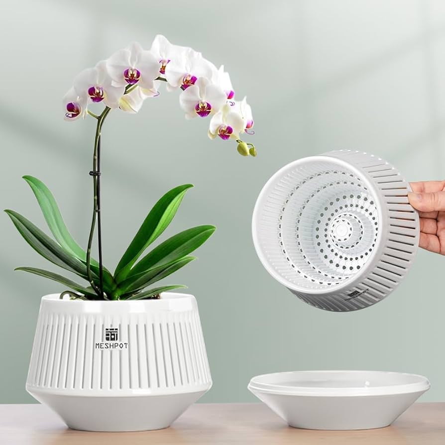 How to grow orchids without going crazy! cover photo collage