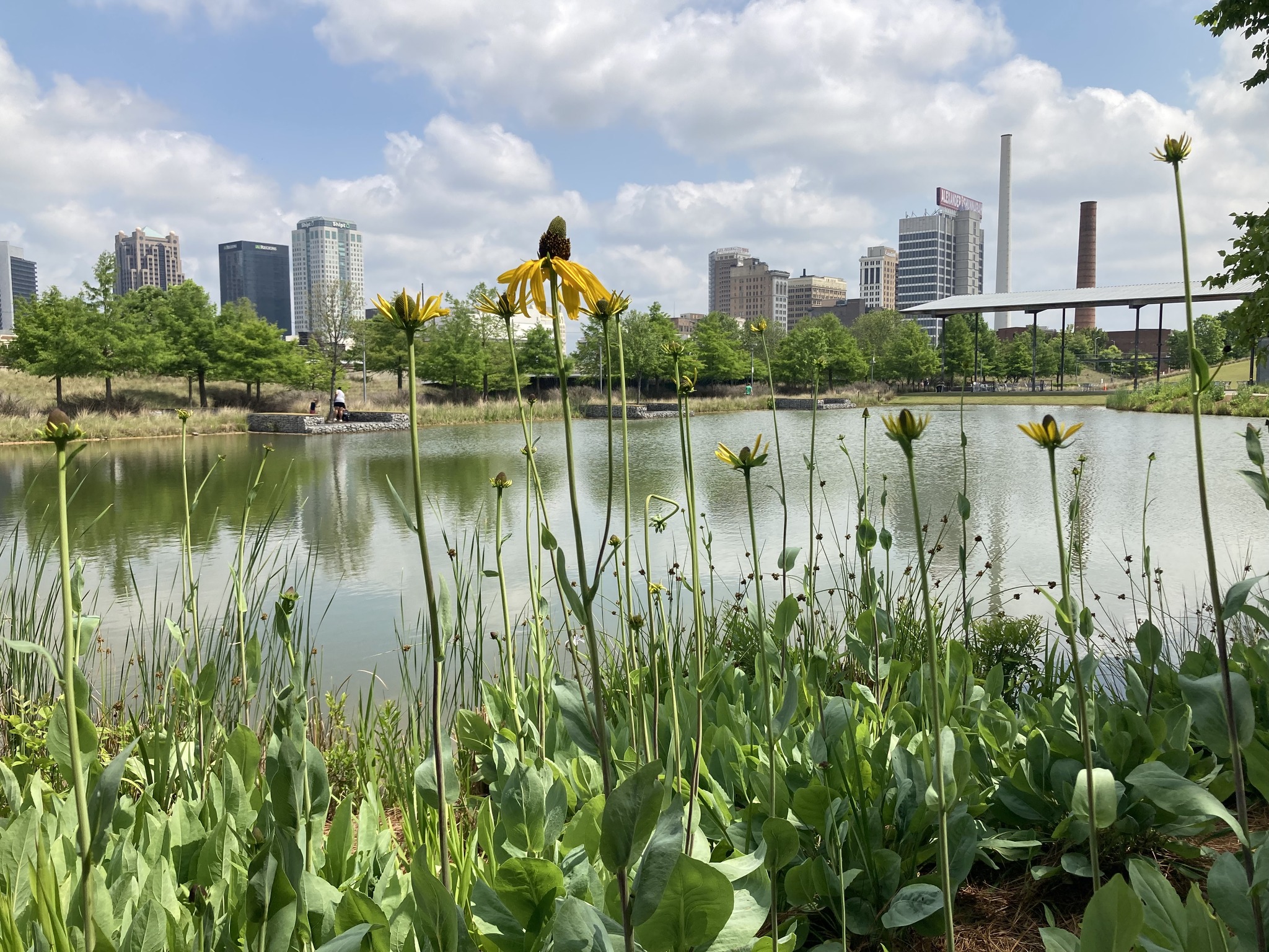 places i love in my hometown of birmingham, al 🌇 cover photo collage