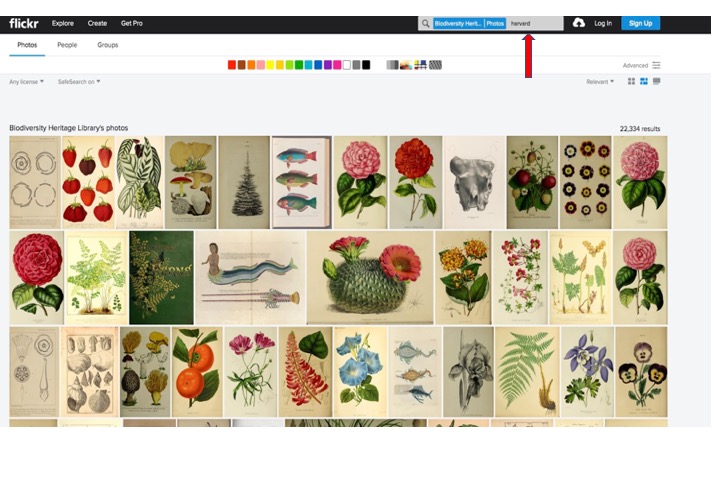 Where to Find the Best Free Vintage Graphics cover photo collage