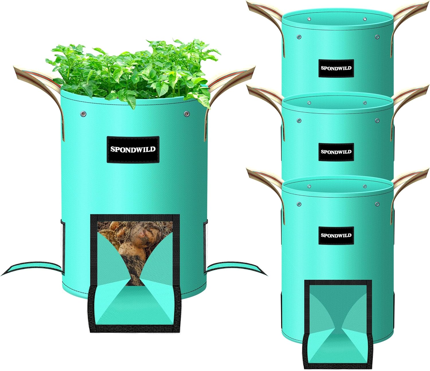 Green Thumb Go-Tos: My Favorite Plant & Garden Finds cover photo collage