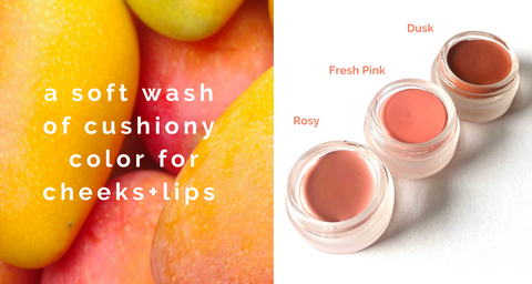 Absolute Best Clean Beauty: Non Toxic Makeup That Performs Like Skincare cover photo collage