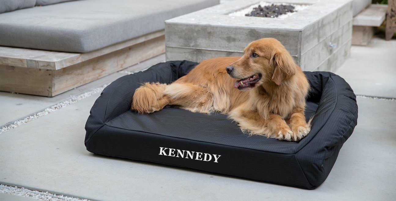 Everyday Luxury for Dogs — Best Premium Dog Products on Amazon 2026 cover photo collage