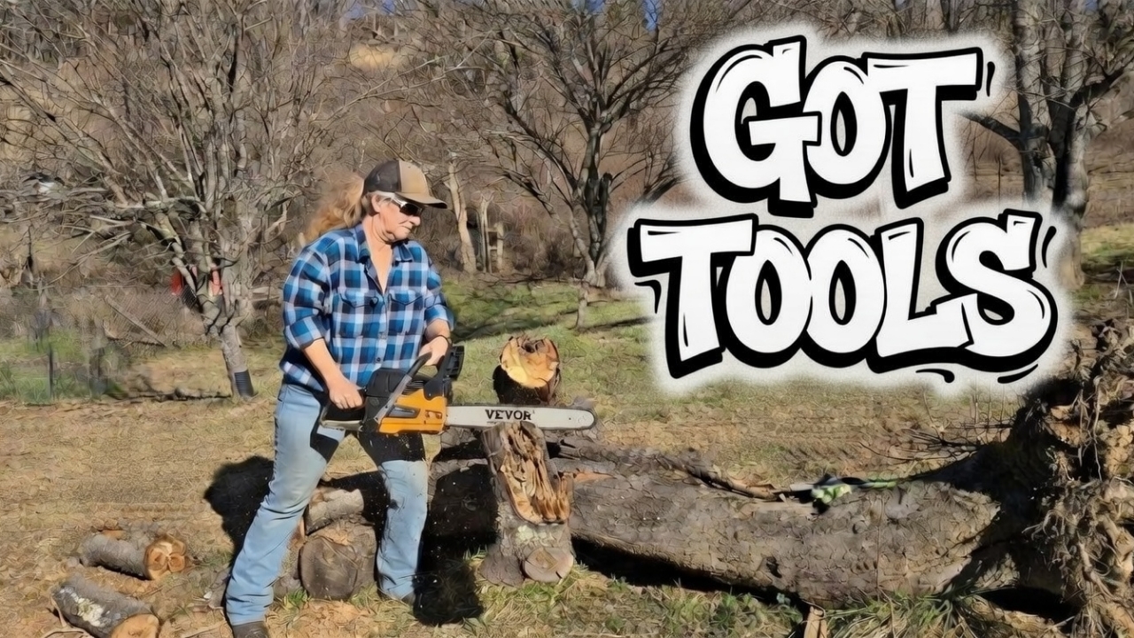 Power Tools for Home and Outdoors cover photo collage