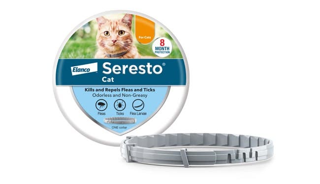 Cat Care Collection cover photo collage