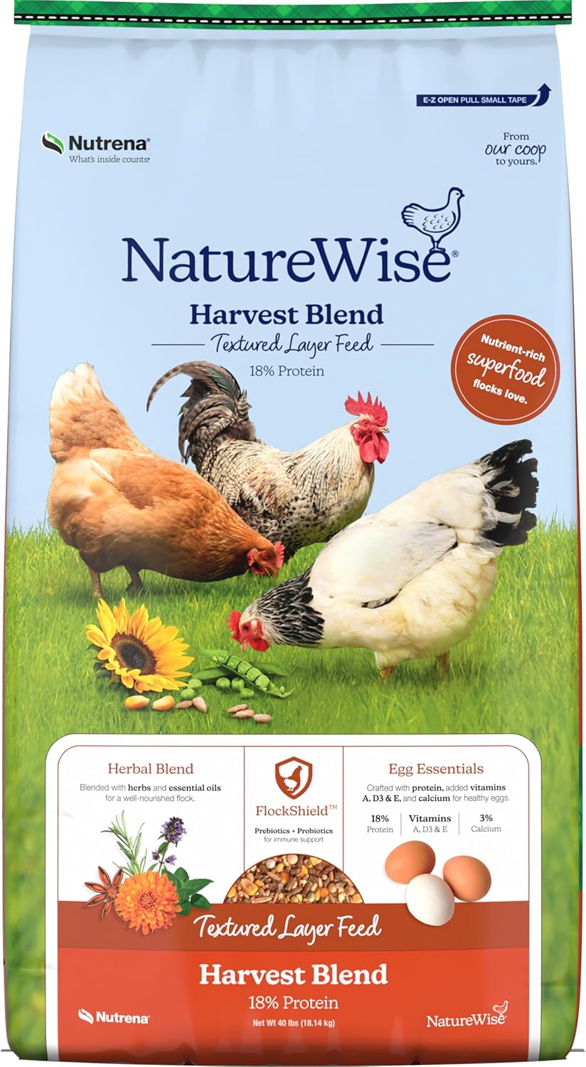 Real Homestead Essentials I Use Daily (Chickens, Tools, Off-Grid Life) cover photo collage