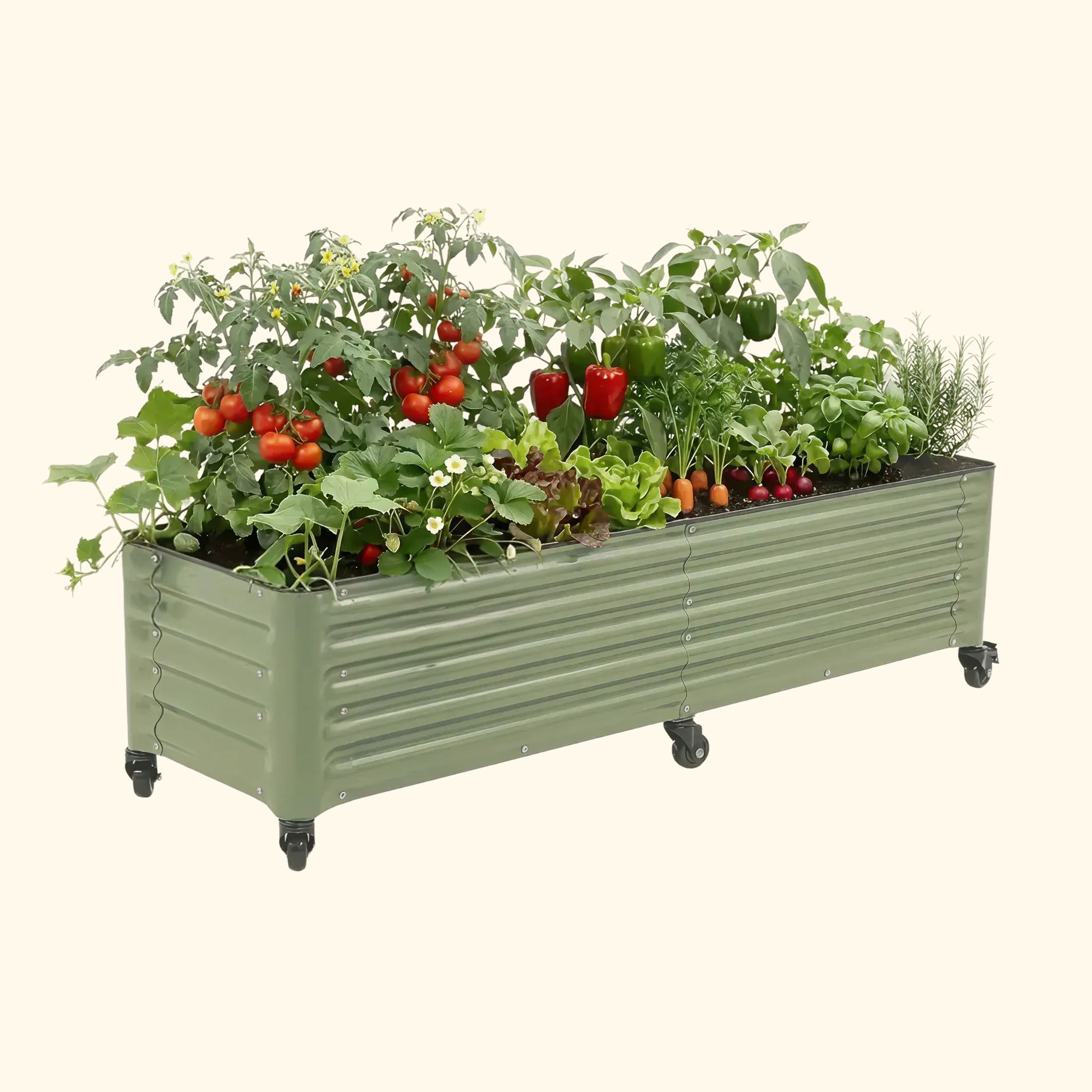 Vegetable Gardening Supplies for Beginners cover photo collage