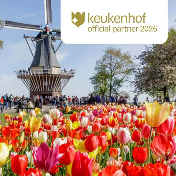 "10 Must-Do Netherlands🇳🇱 Experiences: 2026 Local Guide." cover photo collage