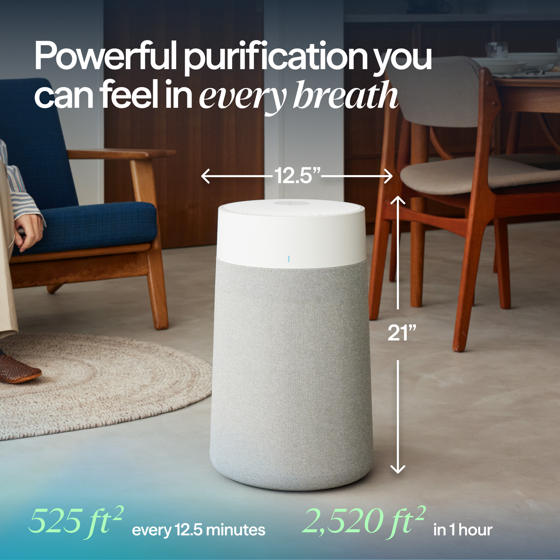Best Air Purifiers for Allergies, Pets, Mold, Smoke, and Better Sleep cover photo collage