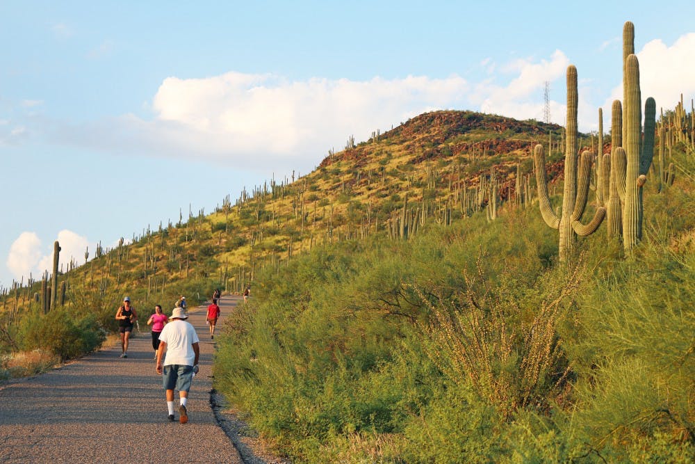 Explore Tucson: Best Things to Do ☀️ + summer fun for the whole fam cover photo collage