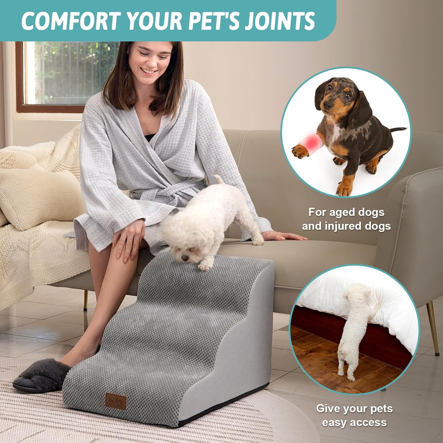 Senior Dog Care That Actually Works (Comfort, Mobility + Daily Life Fixes) cover photo collage