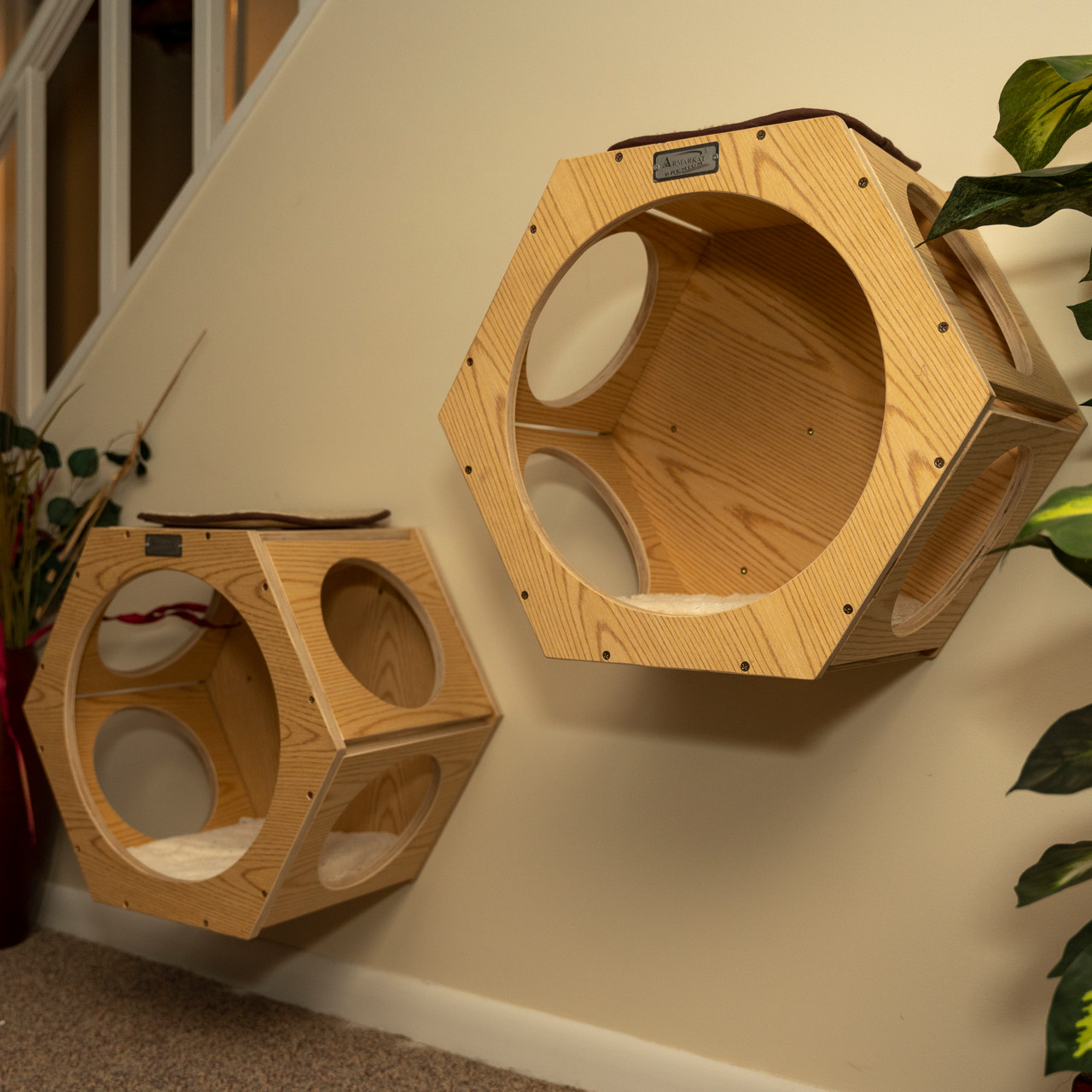 Furniture for the cats cover photo collage
