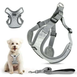 New Puppy | ESSENTIALS cover photo collage