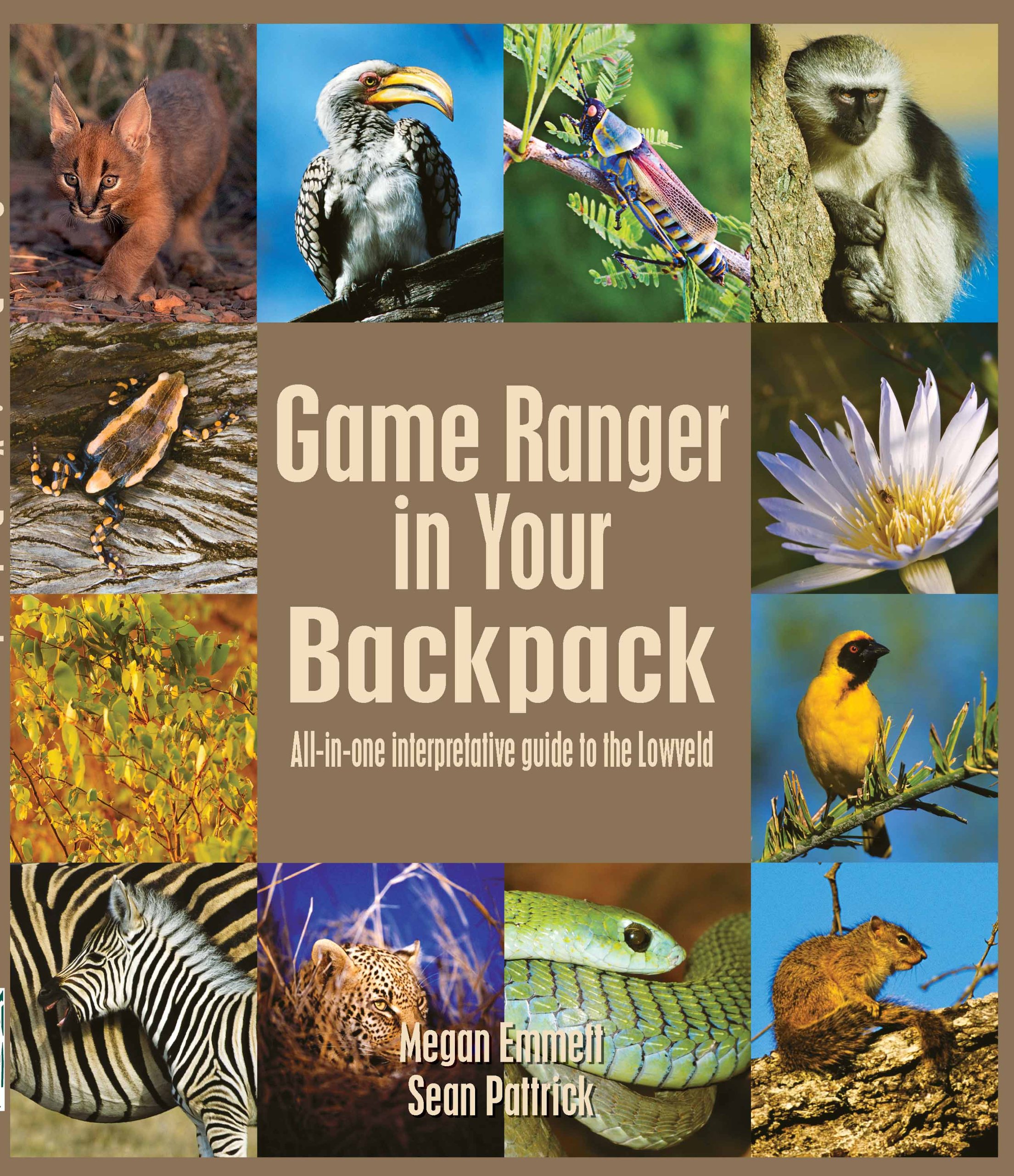 These are the wildlife books I pack with my camping gear or are on my desk! cover photo collage