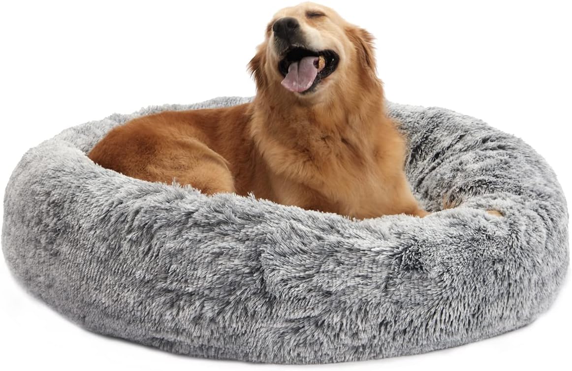 Products for the puppers cover photo collage
