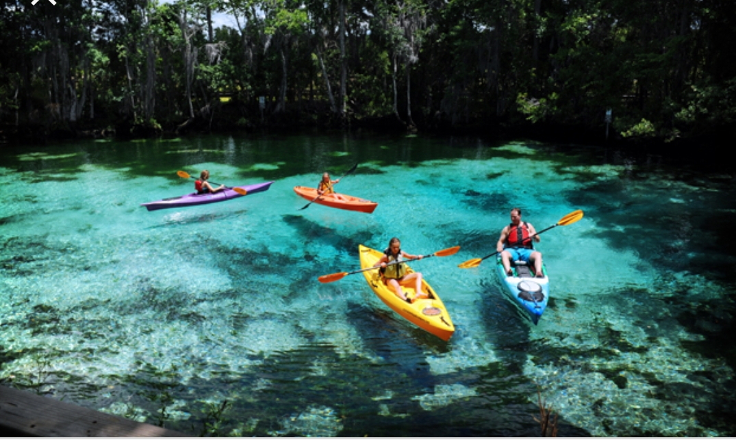 Best places to stay in Citrus County Florida for Summer Trips! cover photo collage