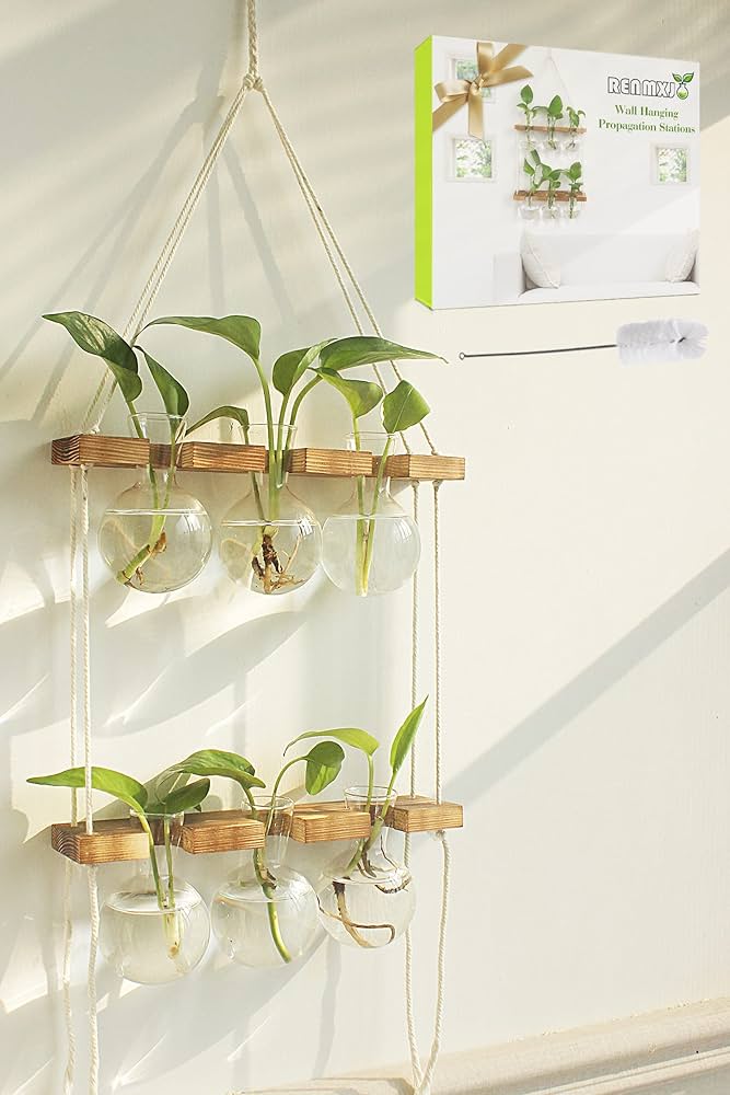 New Plant Mom Wishlist cover photo collage
