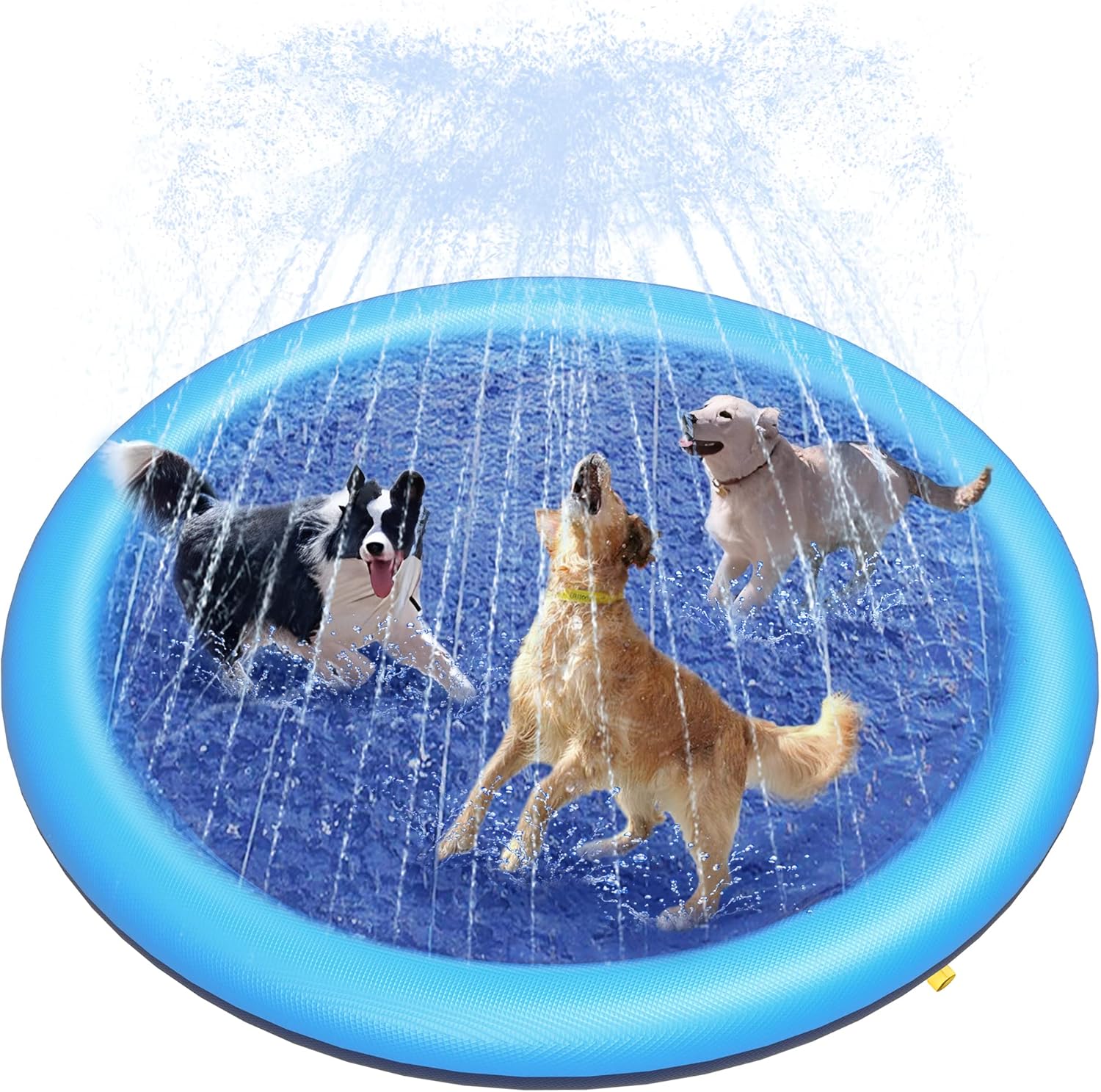 Hot Dog Summer: Amazon Finds That Keep Your Dog Cool, Hydrated & Beach-Ready cover photo collage