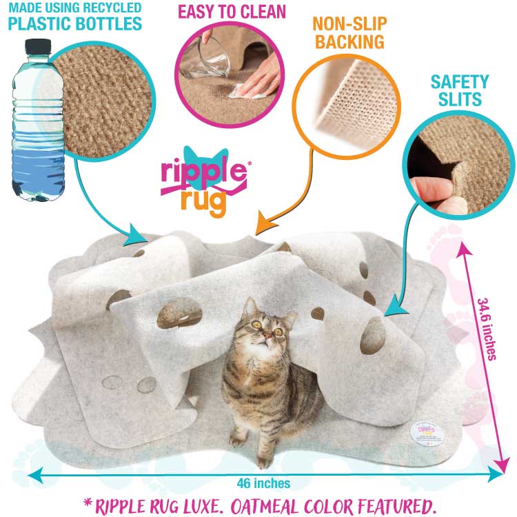 Pets cover photo collage
