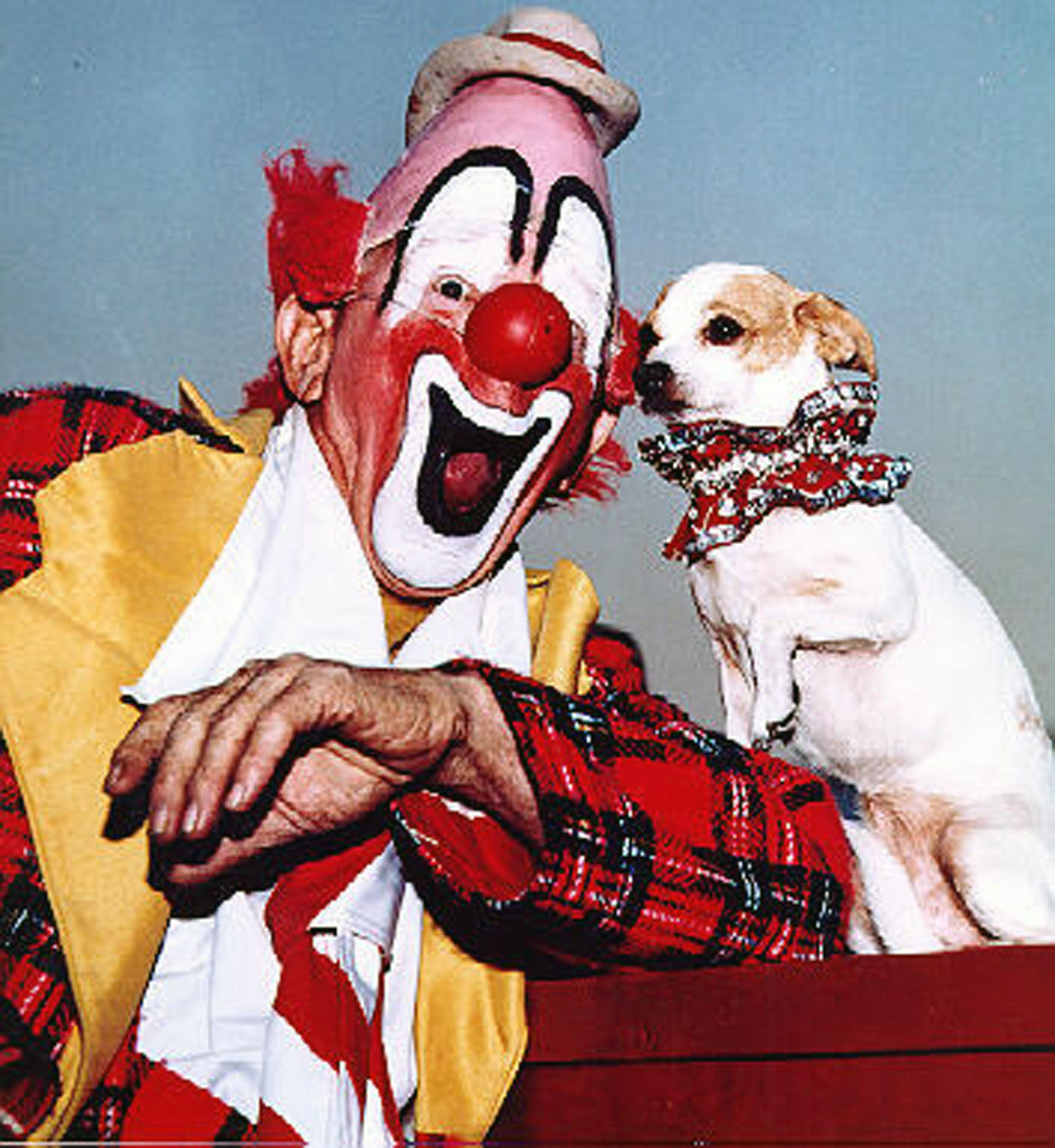 Clowning around! cover photo collage